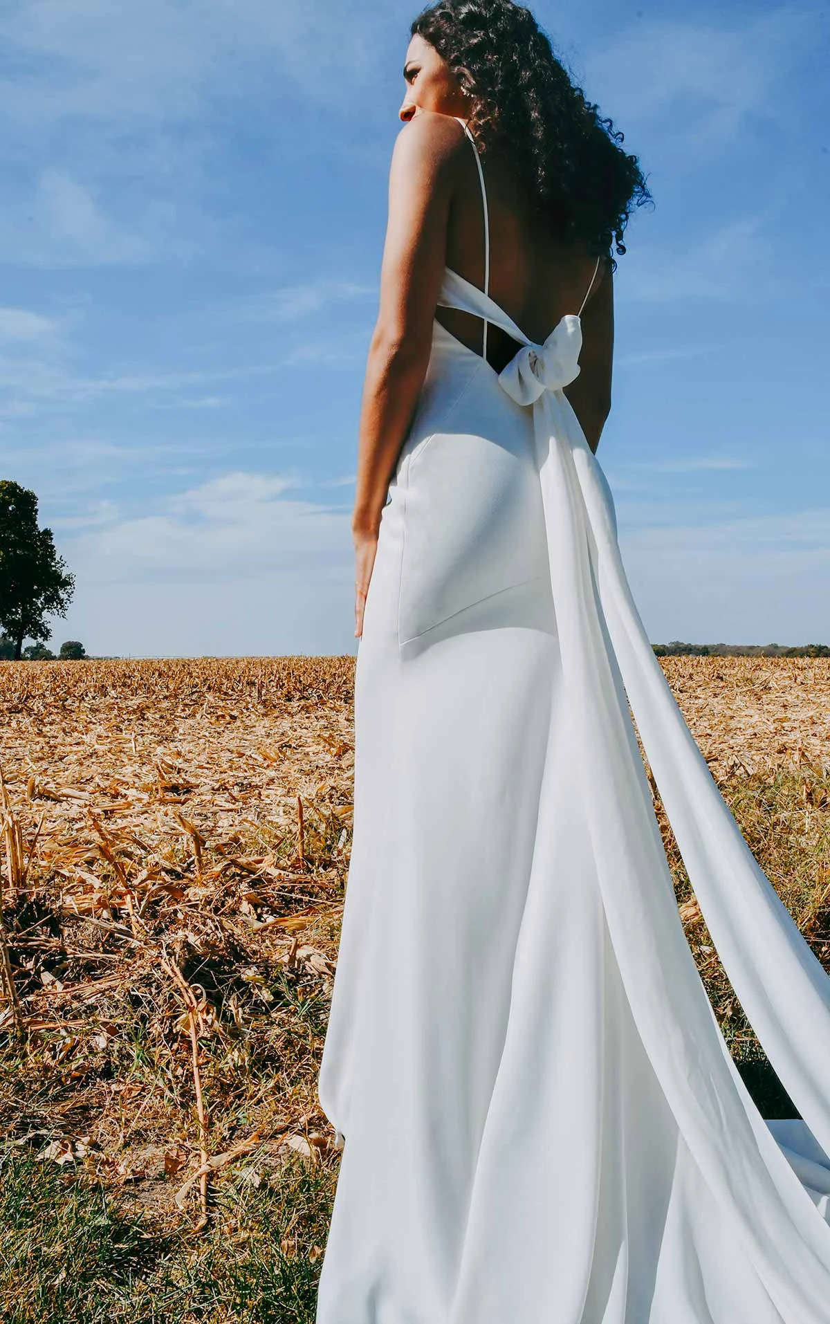 7290 Clean and Simple Sheath Wedding Dress with Tie Detail  by Stella York
